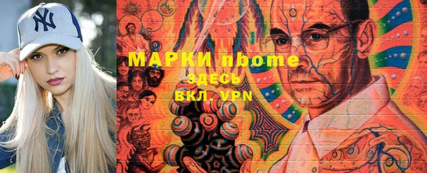 шишки Осташков