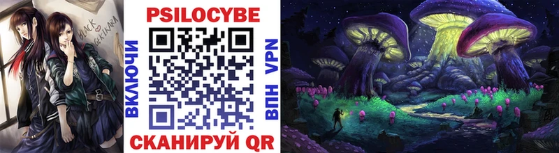Купить  Белая Холуница  Псилоцибиновые грибы мицелий 